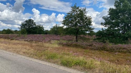verrassingtocht (39)